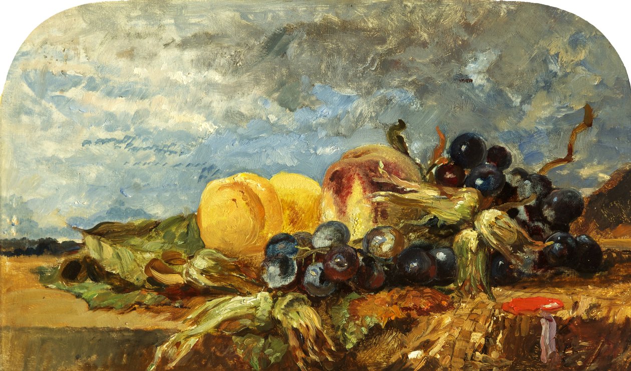 Hedelmäpala tekijältä William James Muller