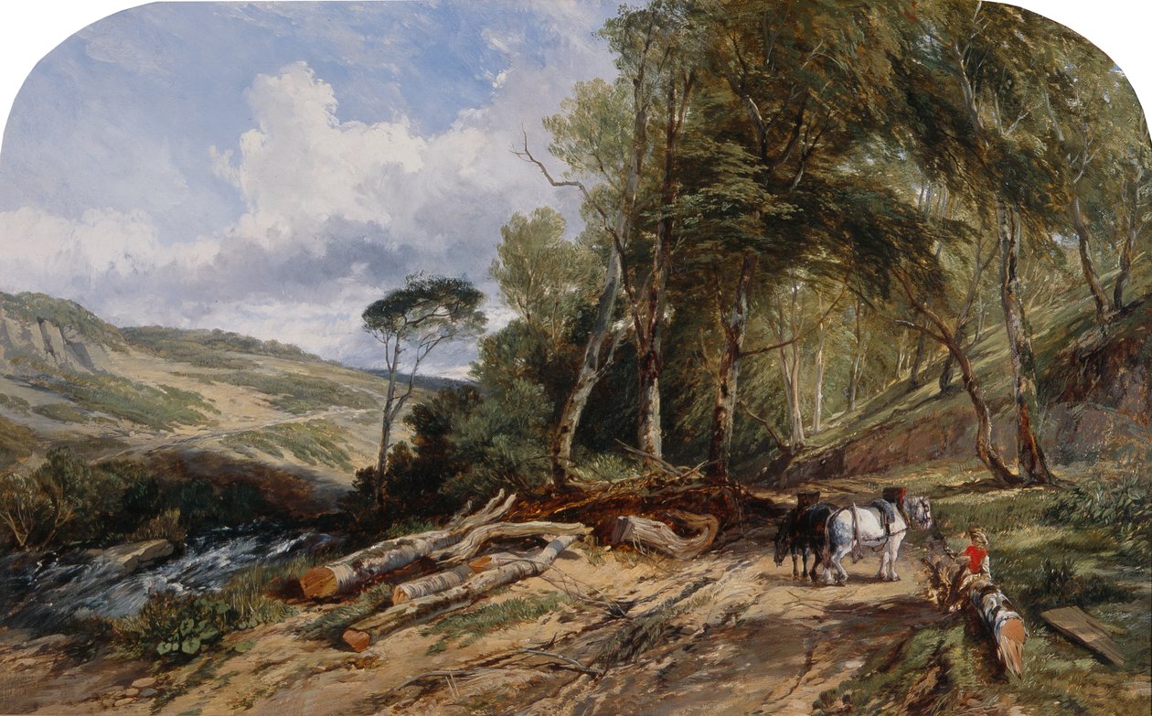 Puutavaran kuljetus (öljy kankaalle) tekijältä William James Muller