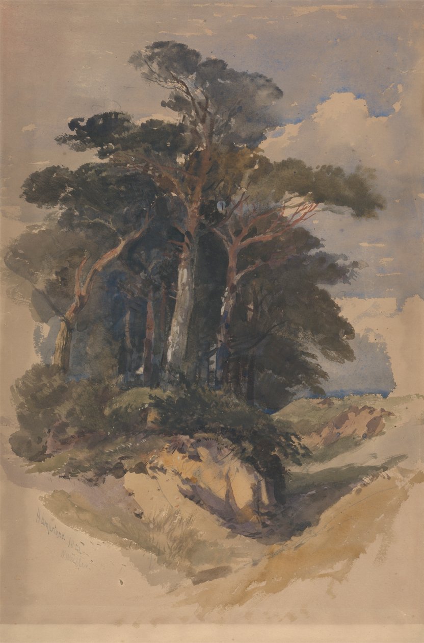 Pinheiros em Hampstead Heathfinnish tekijältä William James Muller