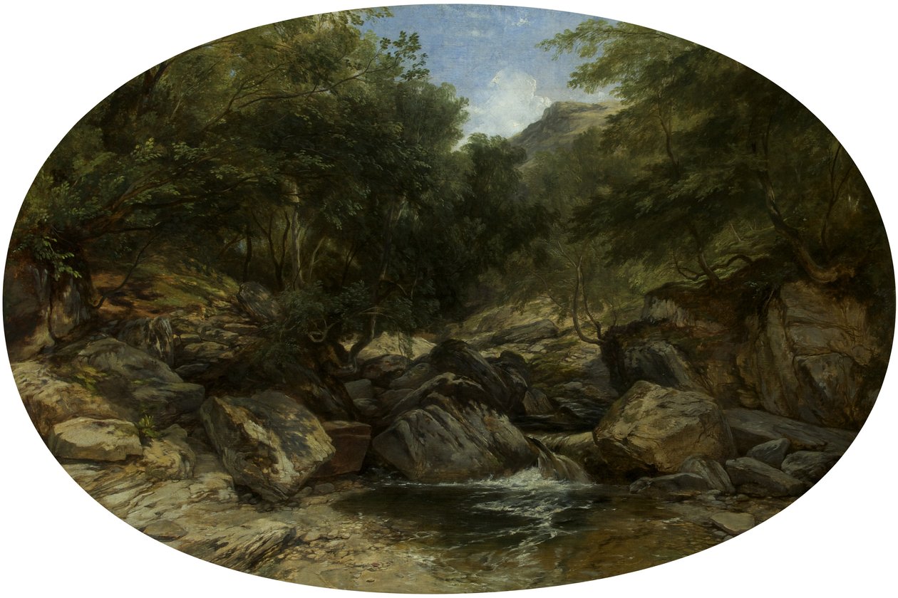 Rocky Stream Lynmouthissa tekijältä William James Muller