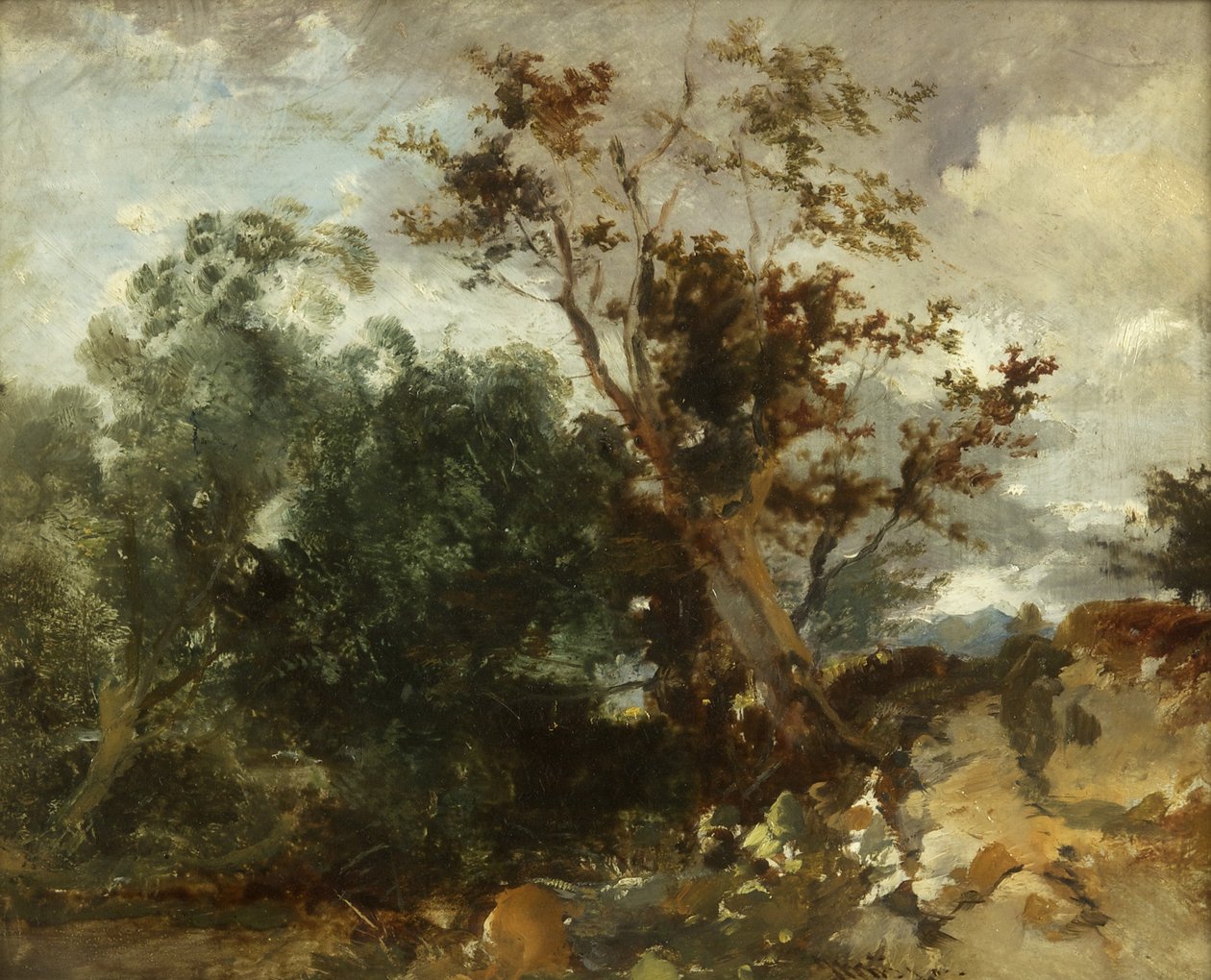 Study of Trees, n. 1840 (öljy kuparille) tekijältä William James Muller
