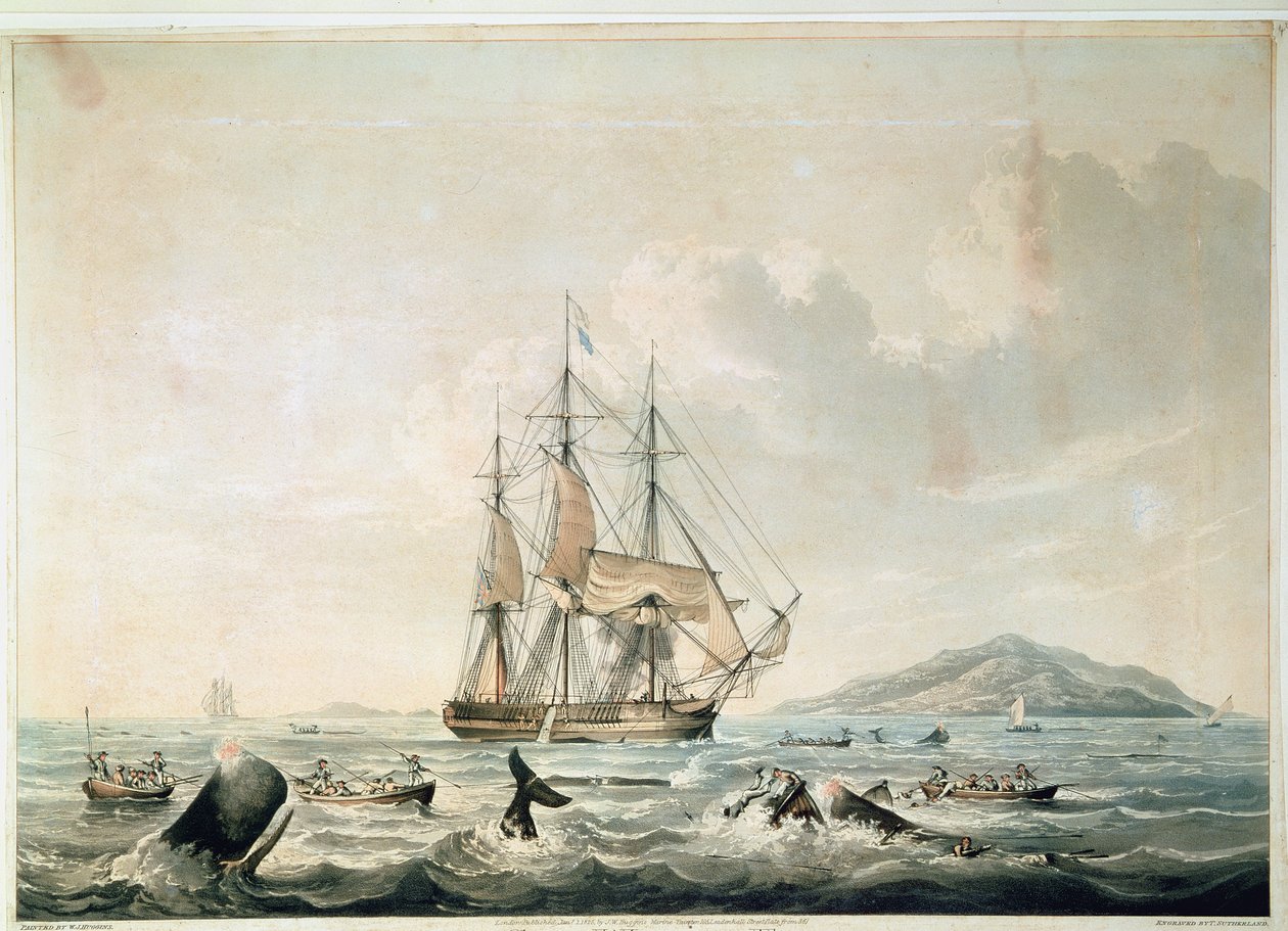 Etelämeren valaanpyynti, kaiverrettu T. Sutherlandin toimesta. tekijältä William John (after) Huggins