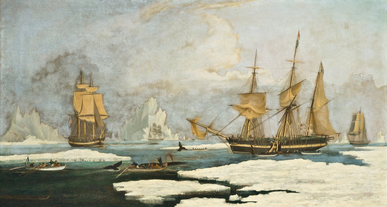 The Northern Whale Fishery: Laiva Harmony of Hull ja muut jäässä olevat valaanpyytäjät, hylkeiden, narvalien ja valaiden metsästys Davis Straits -valaanpyyntialueella Grönlannin edustalla tekijältä William John Huggins