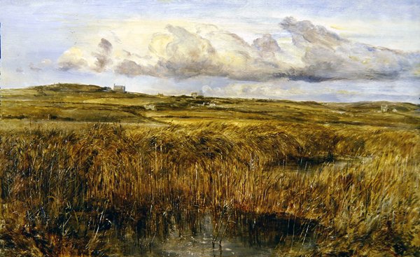 Rhoscolyn, Anglesey (öljy aluksella) tekijältä William Joseph J.C. Bond
