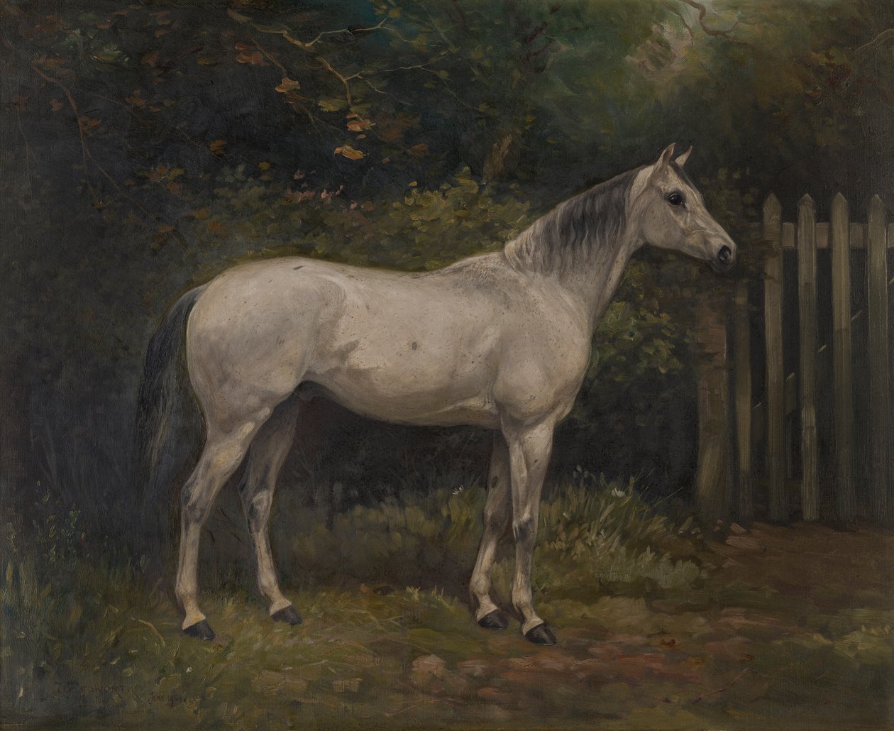 Suolakurkku: Basuto-poni, n. 1904 (öljy kankaalle) tekijältä William Josiah Redworth