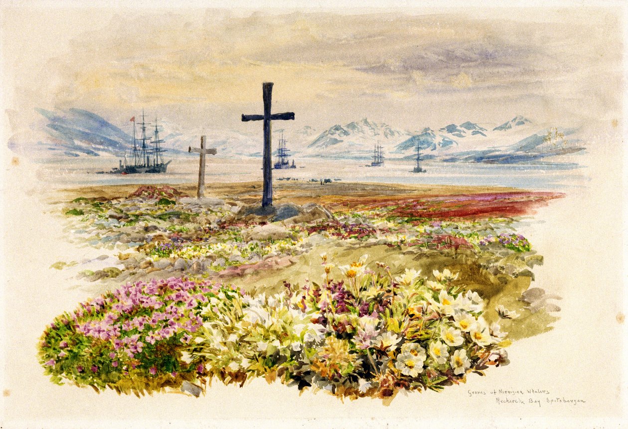 Search Bay (Research Bay, Tasmania, Australia), kaksi kukkapenkkiin istutettua ristiä ja laivat kaukana. Akvarelli tekijältä William Lionel Wyllie