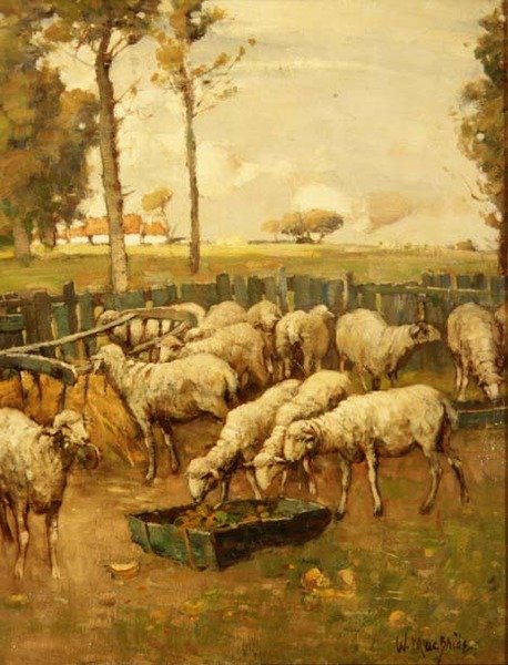 Lammastarha tekijältä William McBride