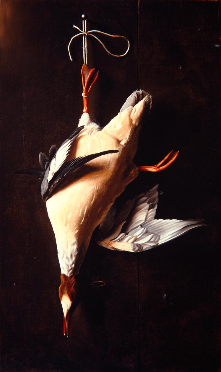 Merganser tekijältä William Michael Harnett