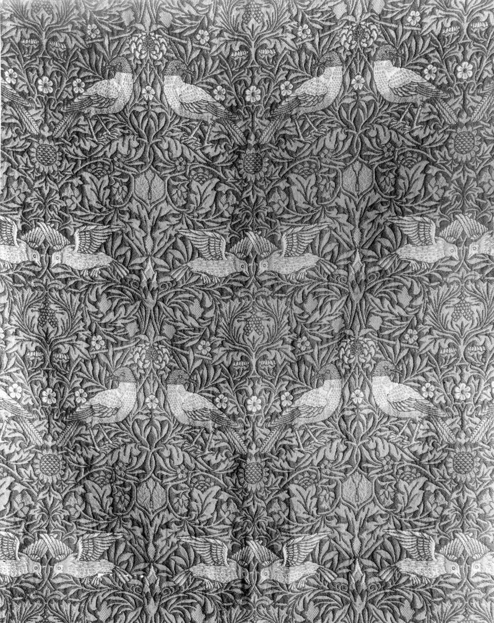 William Morrisin (1834-96) "Bird"-suunnittelu (kudottu villa) (mv/w print) (värikuva, katso 136483) tekijältä William Morris