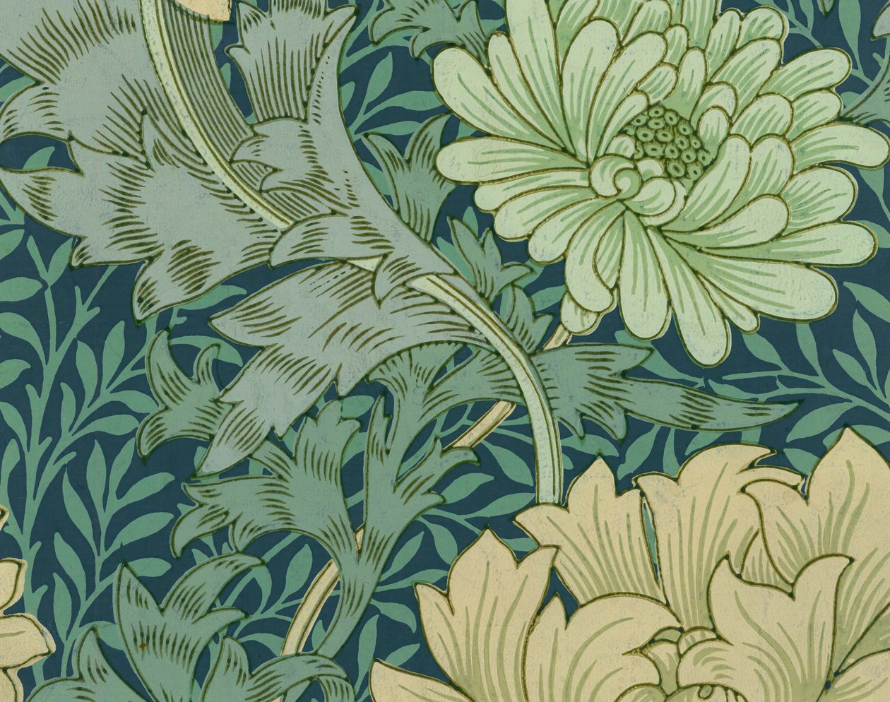 William Morris -taustakuvanäyte krysanteemilla tekijältä William Morris