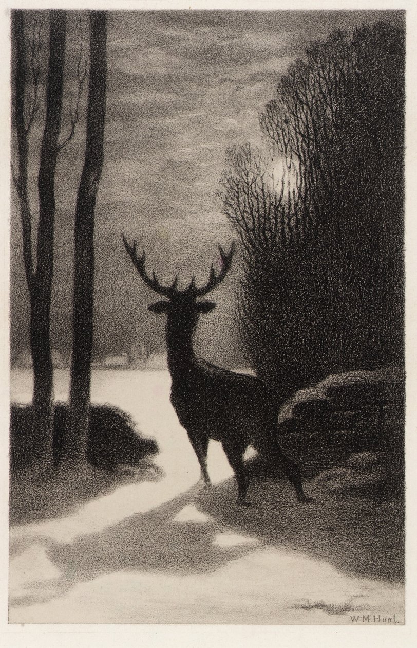 Hirvi kuunvalossa tekijältä William Morris Hunt