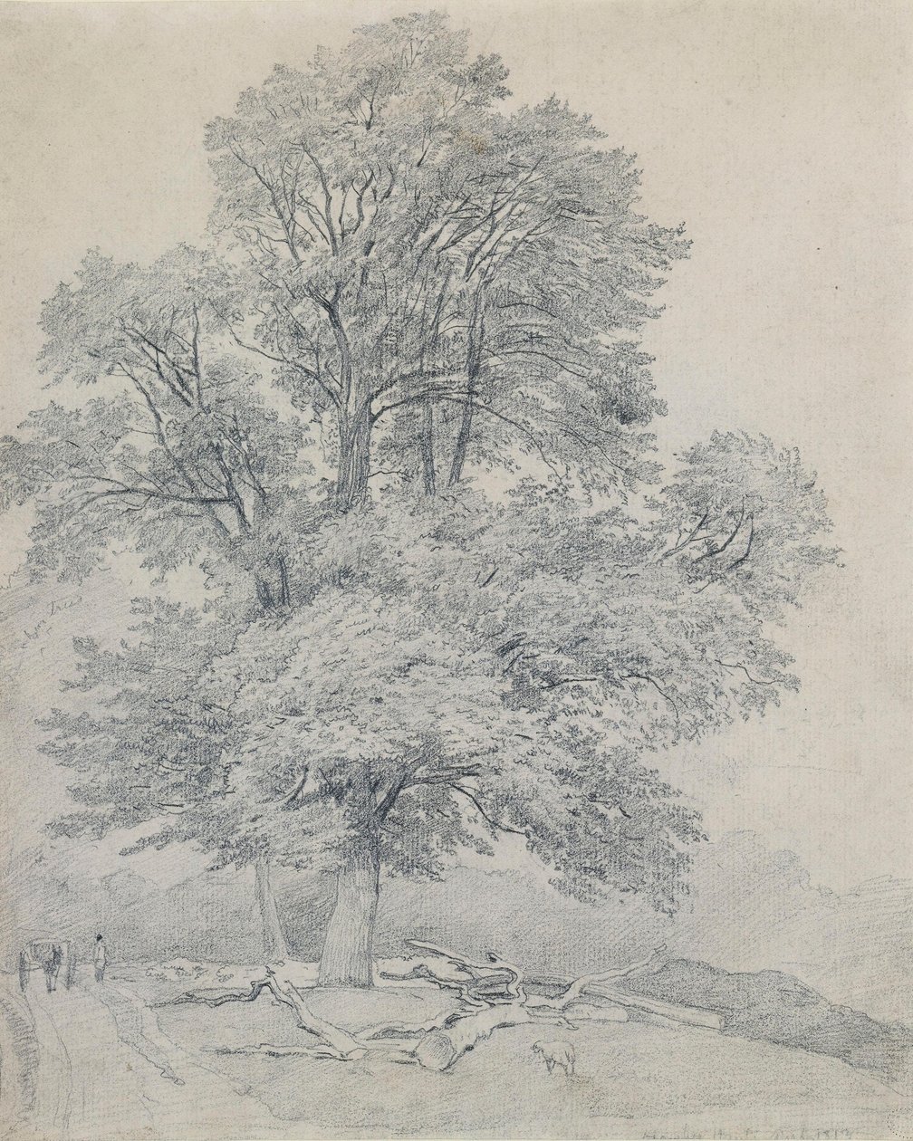 Vuorijalava Hawleyssa, Hampshiressa tekijältä William Mulready