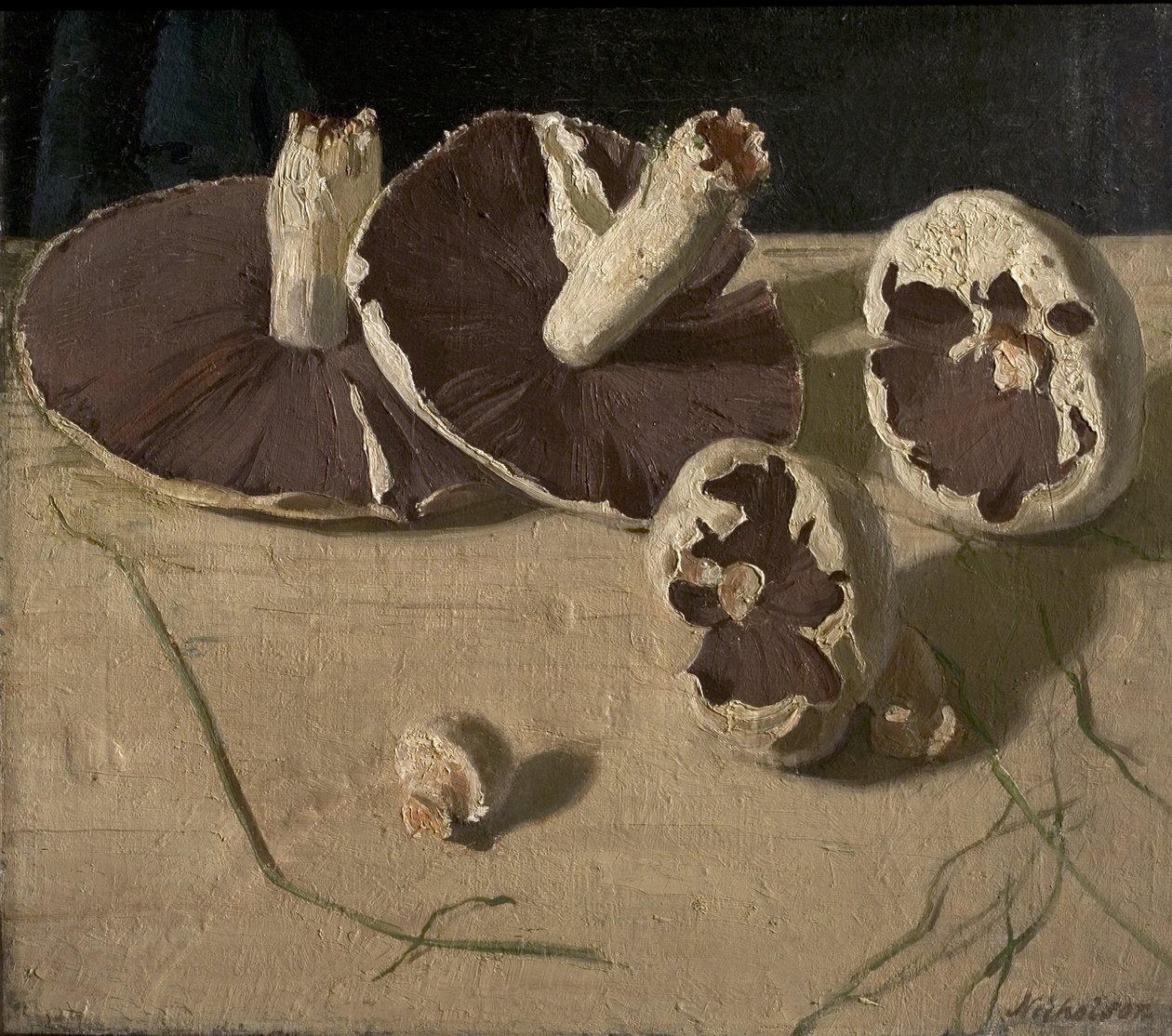 Sienet tekijältä William Nicholson