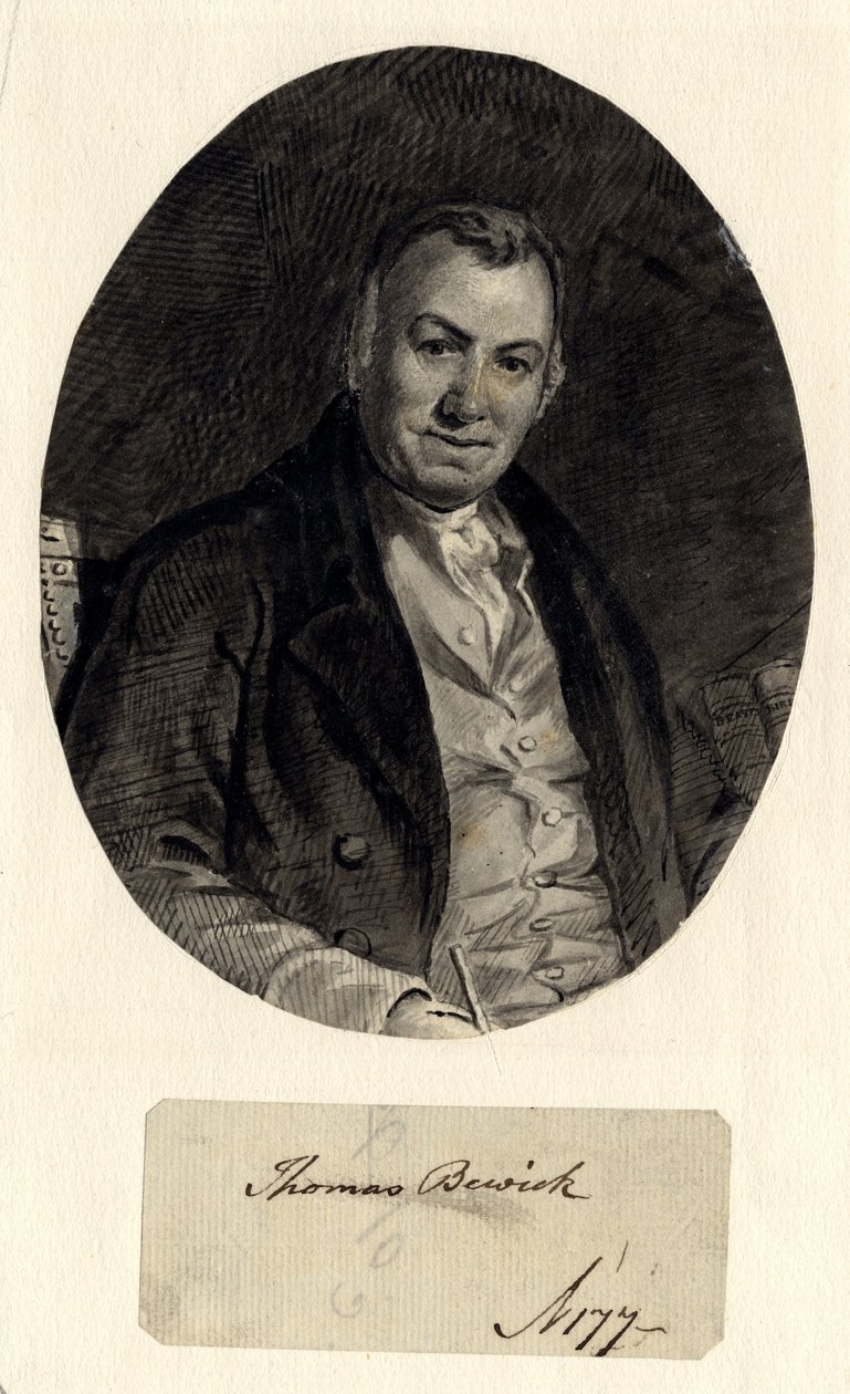 Thomas Bewickin muotokuva (muste paperille (liimattu paperille)) tekijältä William Nicholson