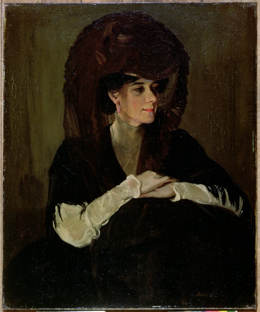 Brown Veil (öljy kankaalle) tekijältä William Nicholson