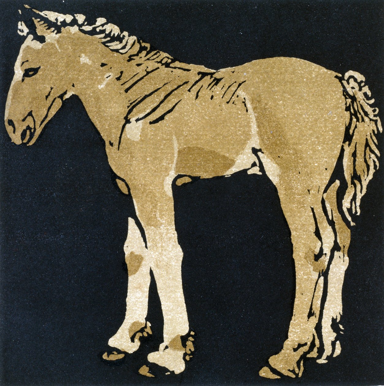 The Growing Colt, The Square Book of Animals -kirjasta, kustantaja William Heinemann tekijältä William Nicholson