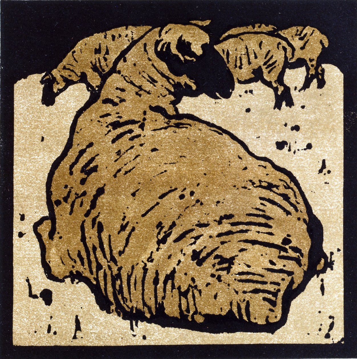 Yksinkertainen lammas, kuvitus 