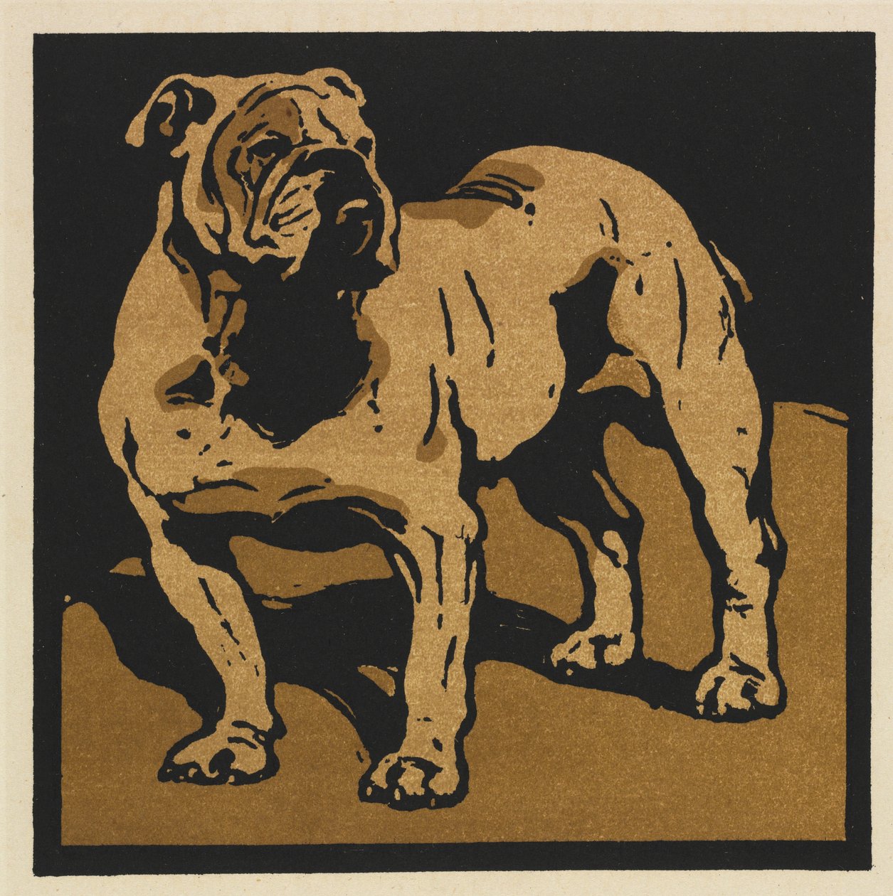 The Square Book of Animals: British Bull-Dog tekijältä William Nicholson