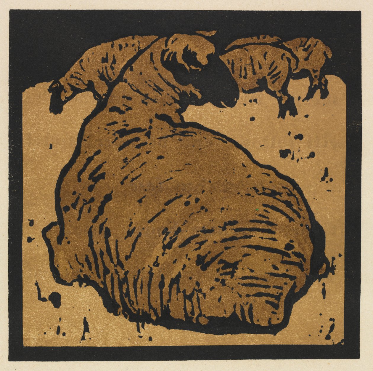 The Square Book of Animals: Lammas: Yksinkertainen lammas tekijältä William Nicholson