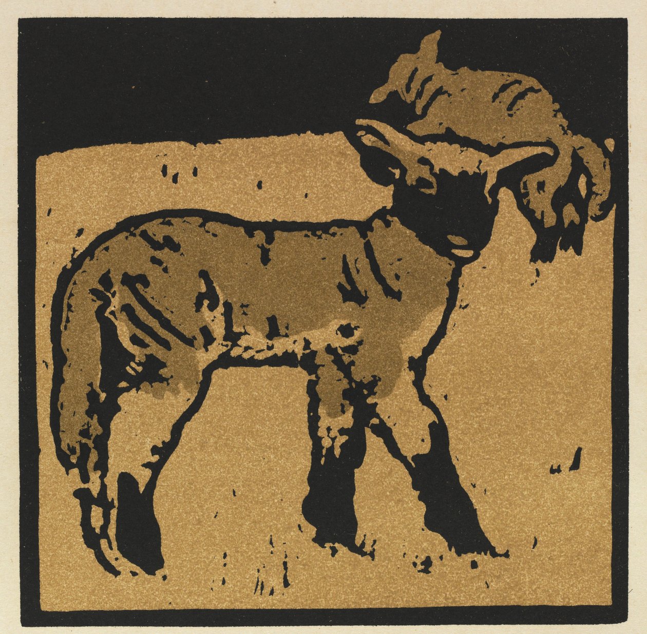 Eläinten neliökirja: Hyvin kesytetty lammas tekijältä William Nicholson