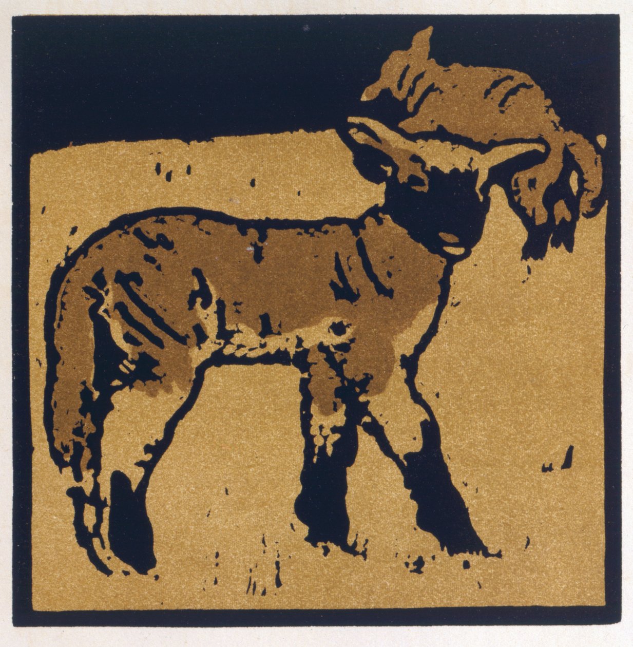 The Very Tame Lamb, kirjasta The Square Book of Animals, kustantaja William Heinemann tekijältä William Nicholson