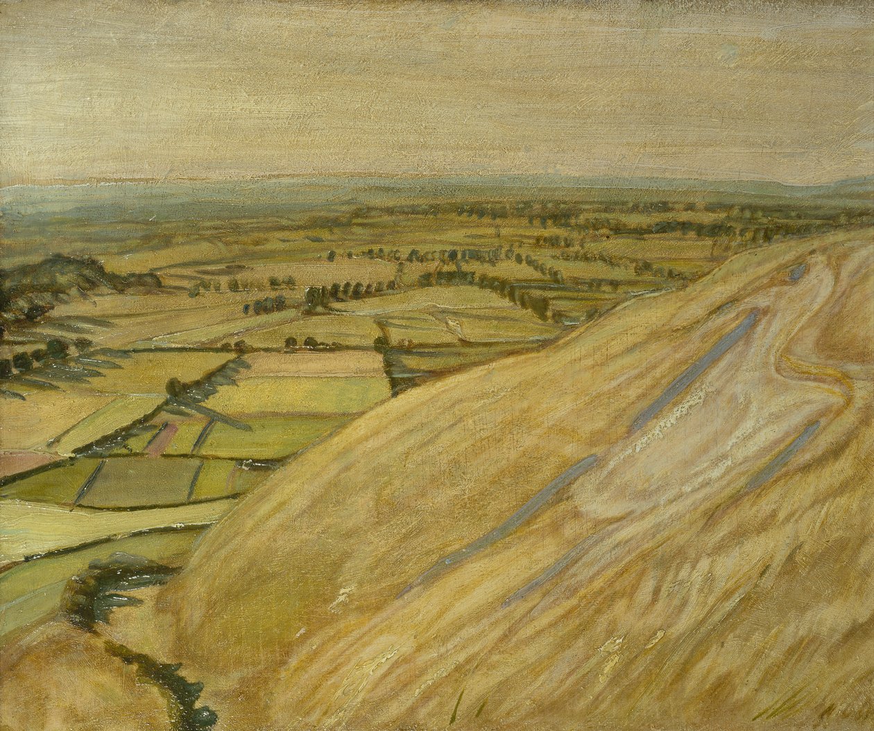 Valkoinen hevonen (öljy paneelissa) tekijältä William Nicholson