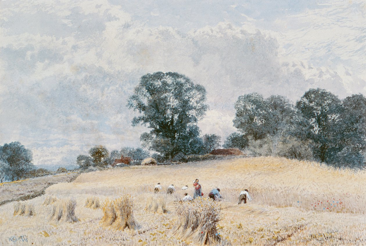 Sadonkorjuu tekijältä William Paton Burton