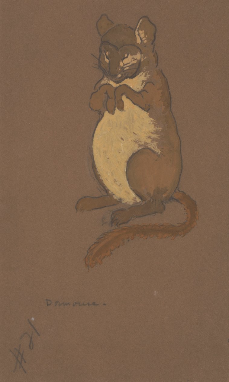 Dormouse-pukusuunnittelu Liisa Ihmemaassa, 1915. tekijältä William Penhallow Henderson
