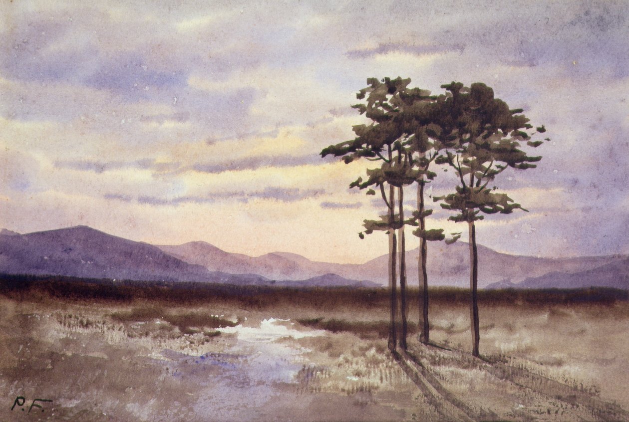 Auringonlasku, Sligon kreivikunta (akvarelli paperille) tekijältä William Percy French