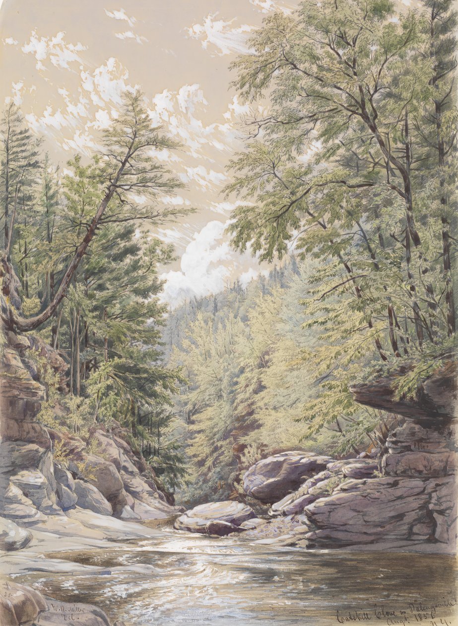 Catskill-neilikka Palingsvillessä, 1856. tekijältä William Rickarby Miller