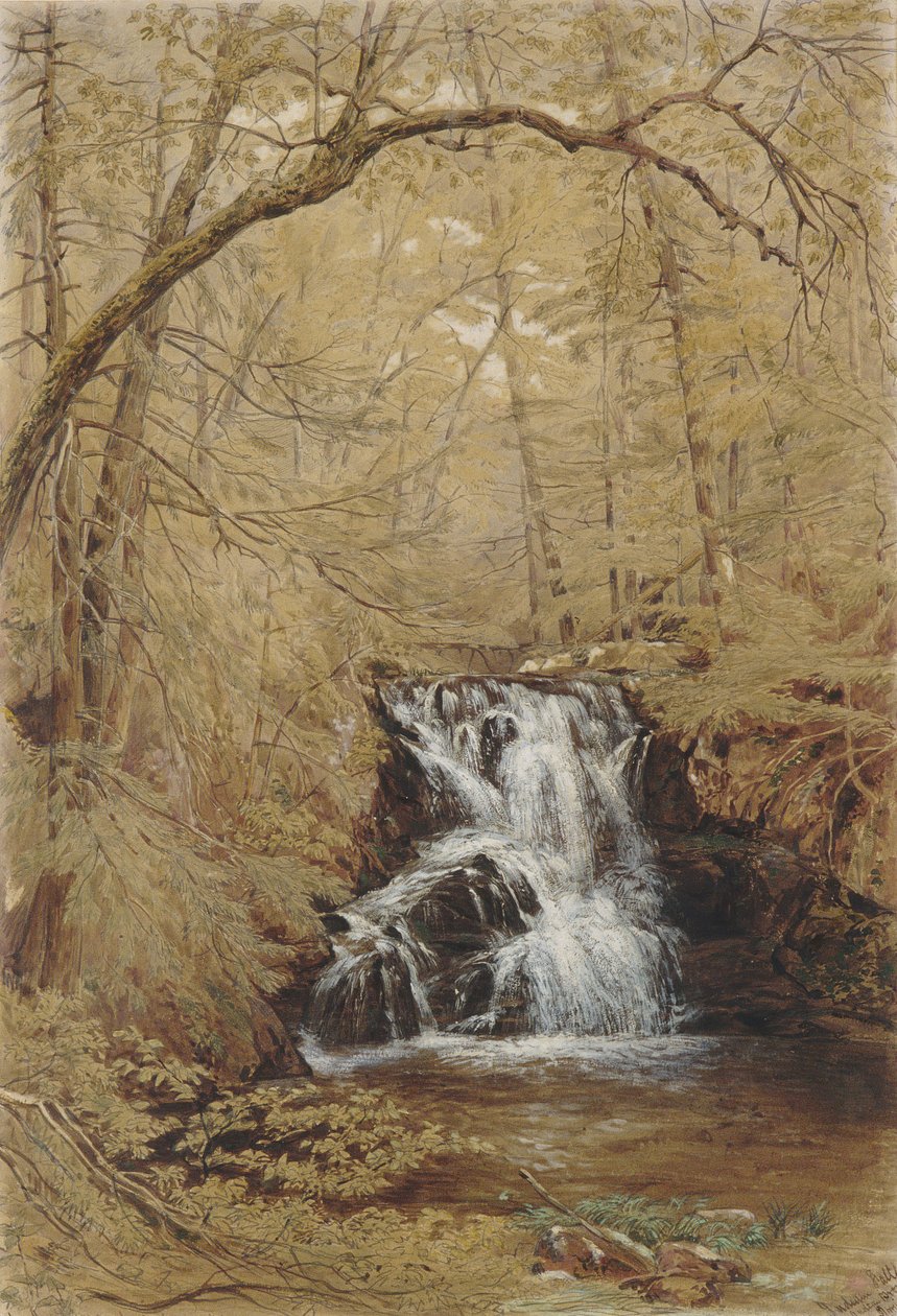 Indian Falls, Indian Brook, Cold Springs, New York, 1850. tekijältä William Rickarby Miller