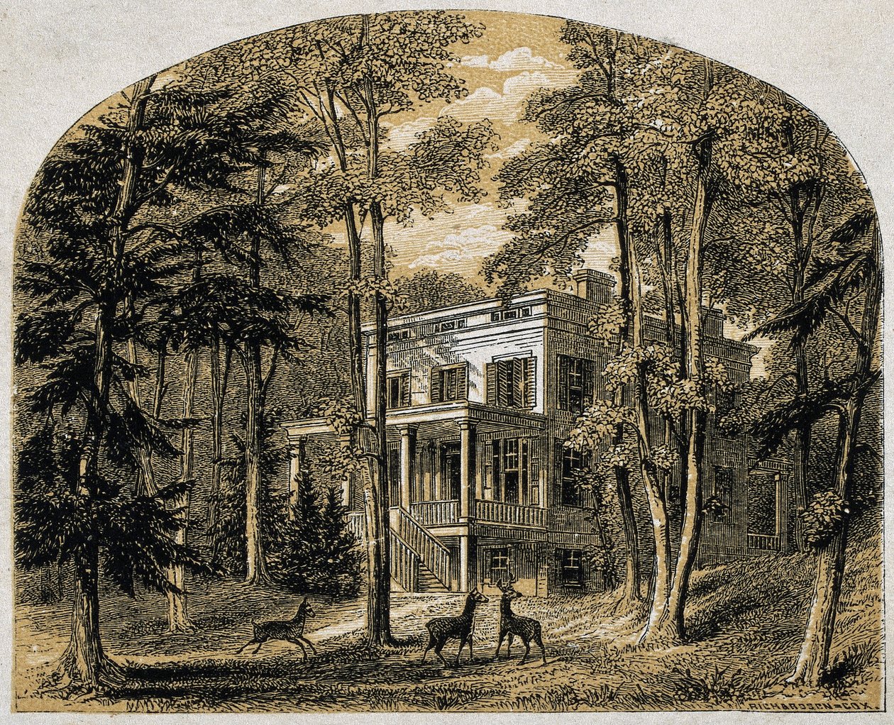 James John Audubonin koti "Minniesland", pubi. C 1861 (puukaiverrus) tekijältä William Rickarby Miller
