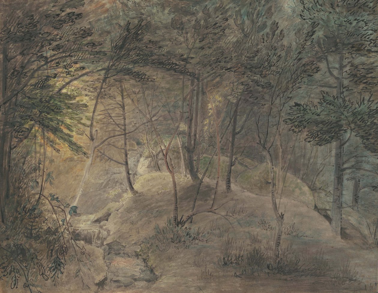 Näkymä Echon lähderakennuksesta, n. 1808 (akvarelli ja tussi kudospaperille) tekijältä William Russell Birch
