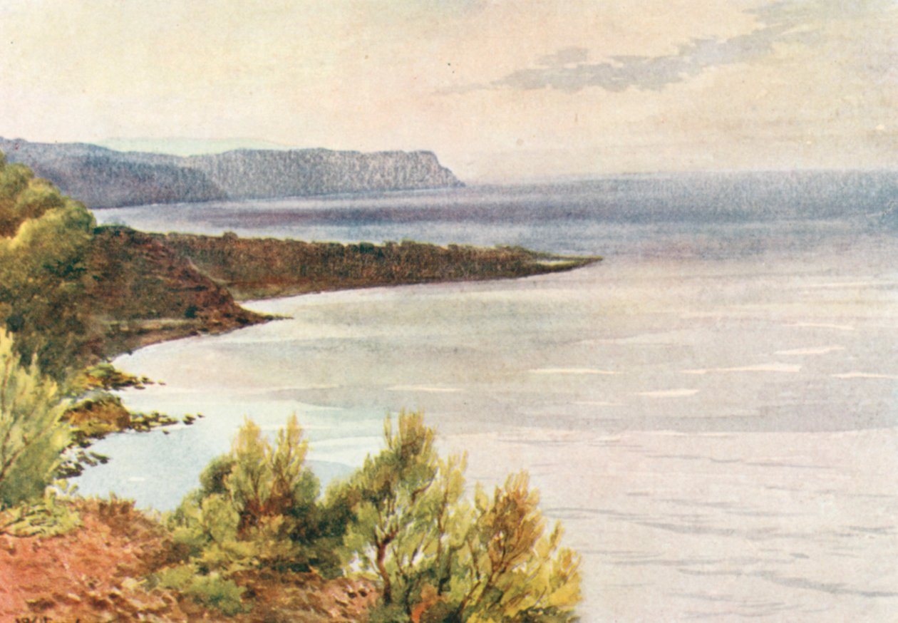  tekijältä William Scott