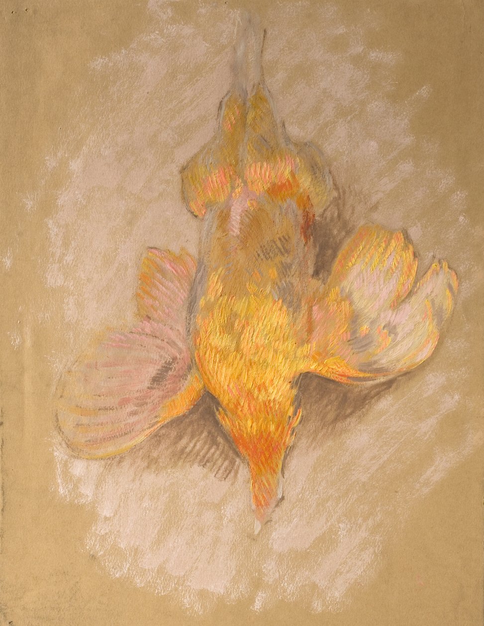 Study of a Fowl for Highland Raiders, n. 1918 (öljy paperille) tekijältä William Shackleton