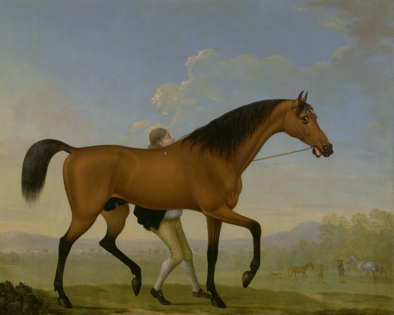 Duke of Ancasters Bay Stallion, tyhjä, kävelemässä kohti tammaa tekijältä William Shaw