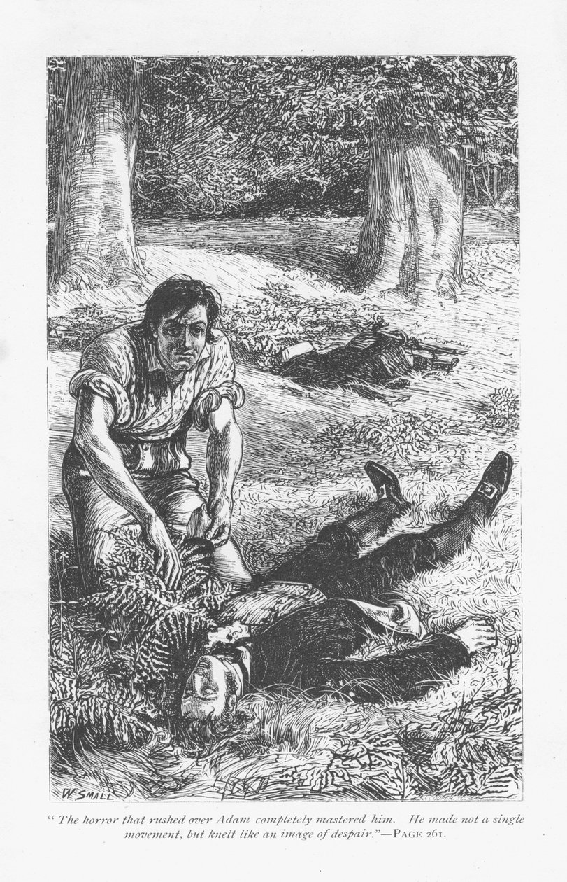 Adam Bede, joka on voittanut Arthur Donnithornen taistelussa, on kauhuissaan nähdessään kilpailijansa makaavan tajuttomana. George Eliotin Adam Bede, julkaistu ensimmäisen kerran 1859. William Smallin (1843-1929) kuvitus vuonna 1885 julkaistusta painoksest tekijältä William Small