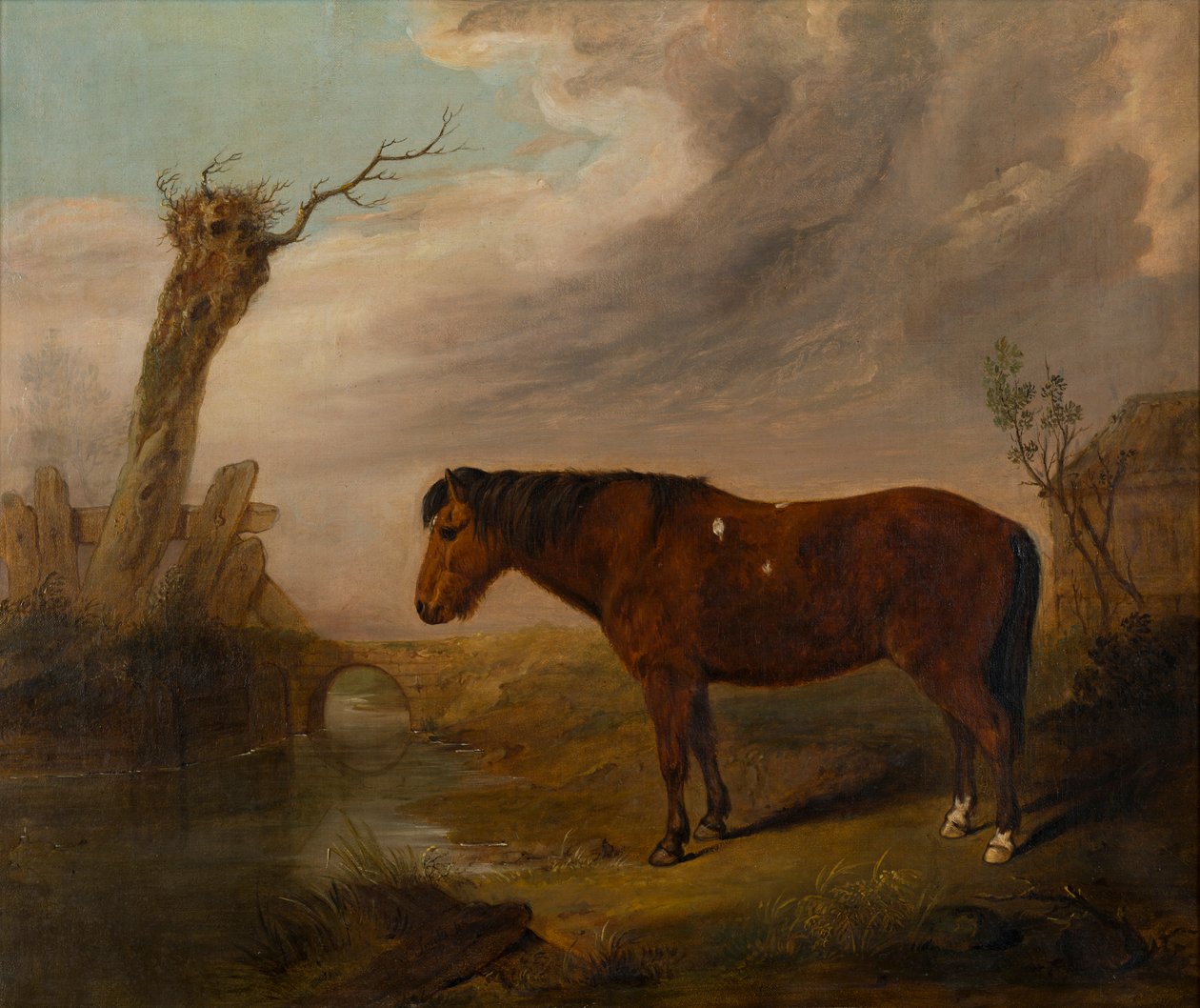 A Bay Pony by a River, n. 1823 (öljy kankaalle) tekijältä William Smith