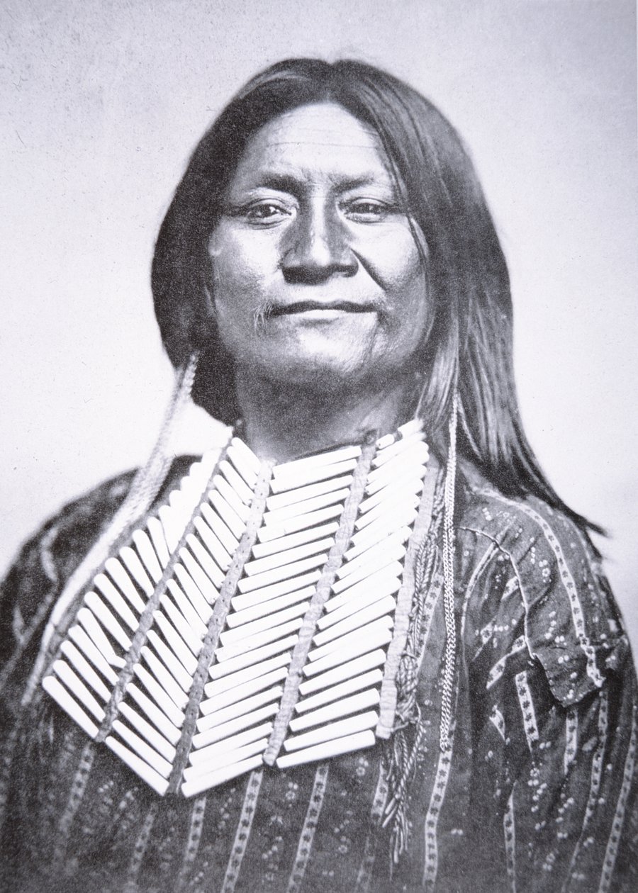 Comanche-heimon mies tekijältä William Soule