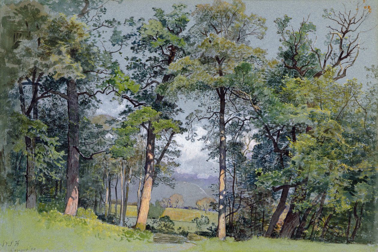 Coppet, Genevenjärvi tekijältä William Stanley Haseltine