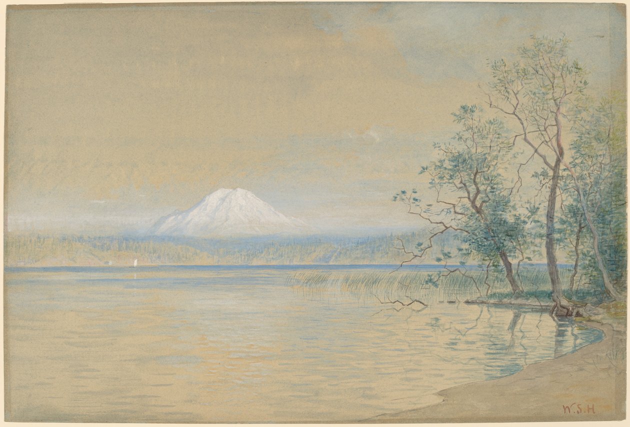 Tacoma-vuori tekijältä William Stanley Haseltine