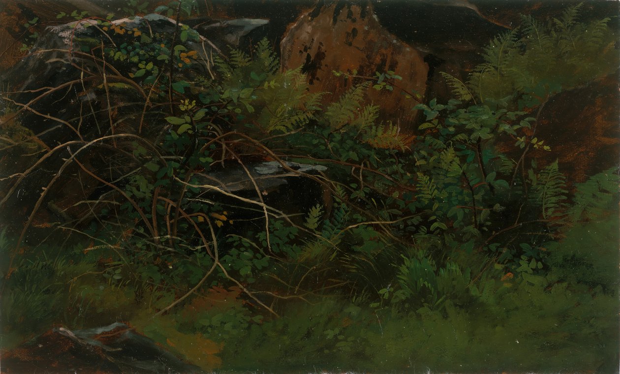 Tutkimus luonnosta. tekijältä William Stanley Haseltine