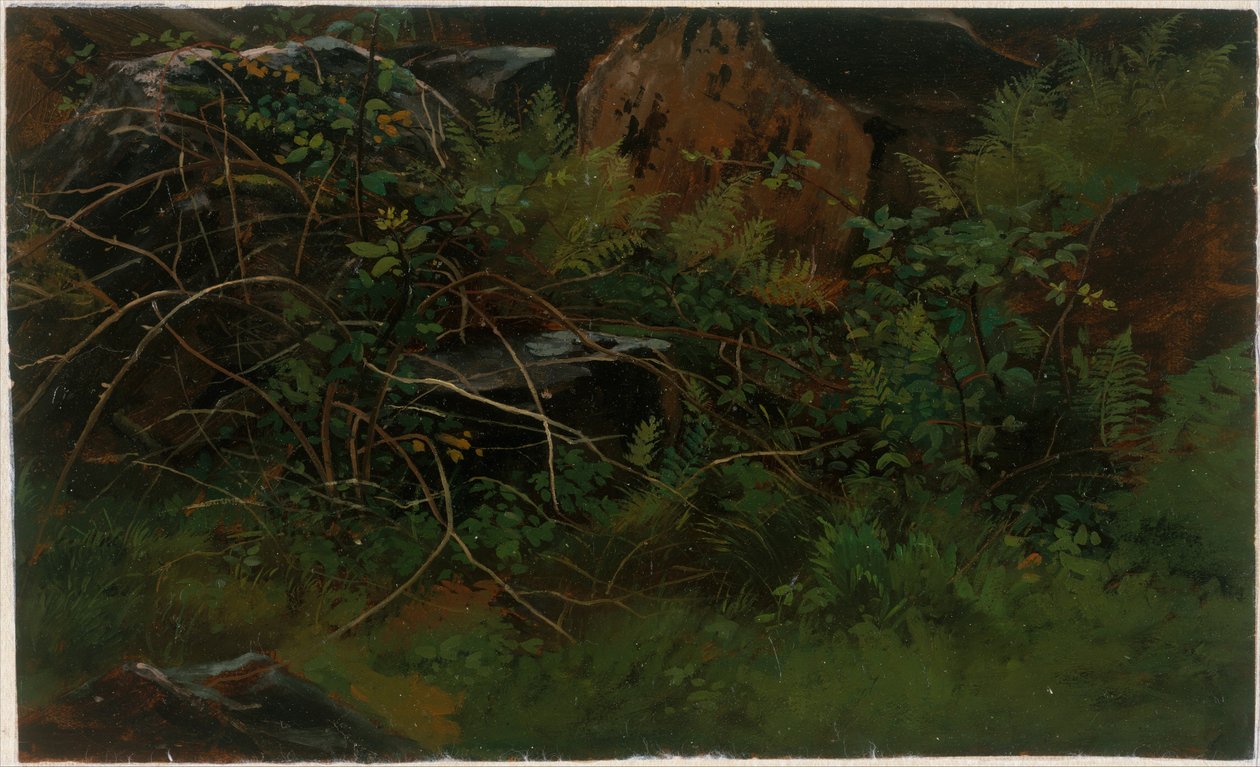 Luonnontutkielma tekijältä William Stanley Haseltine