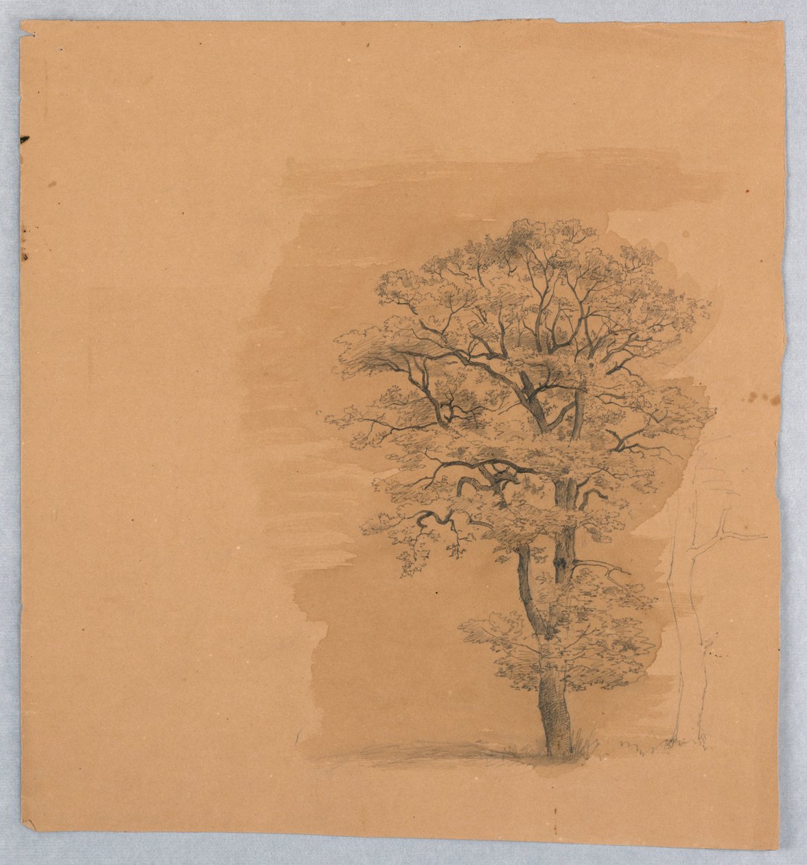 Lehdistöjen tutkimus tekijältä William Stanley Haseltine