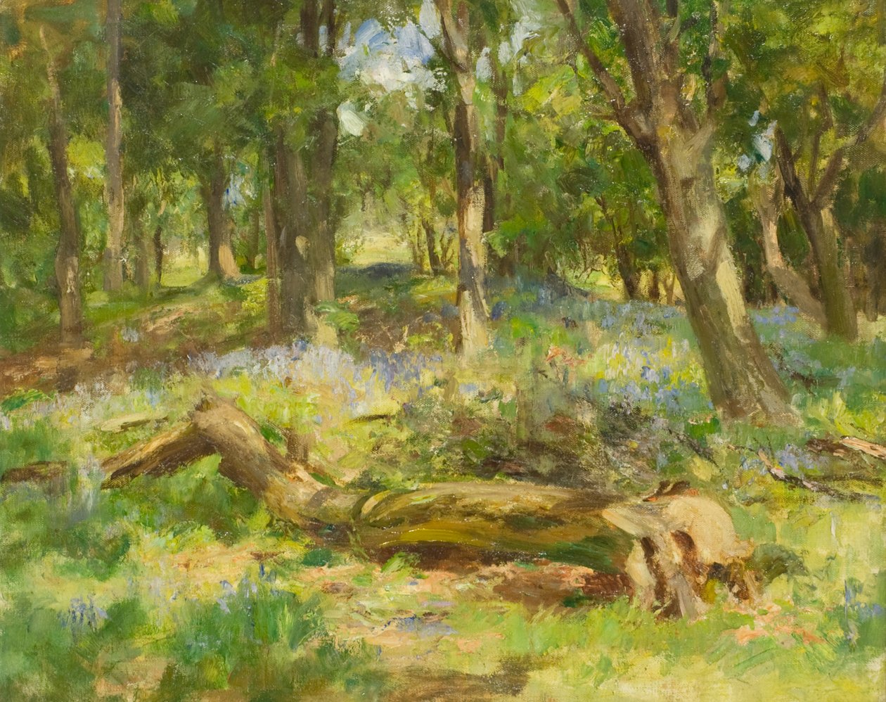 Woodland Scene (öljy kankaalle) tekijältä William Stewart MacGeorge