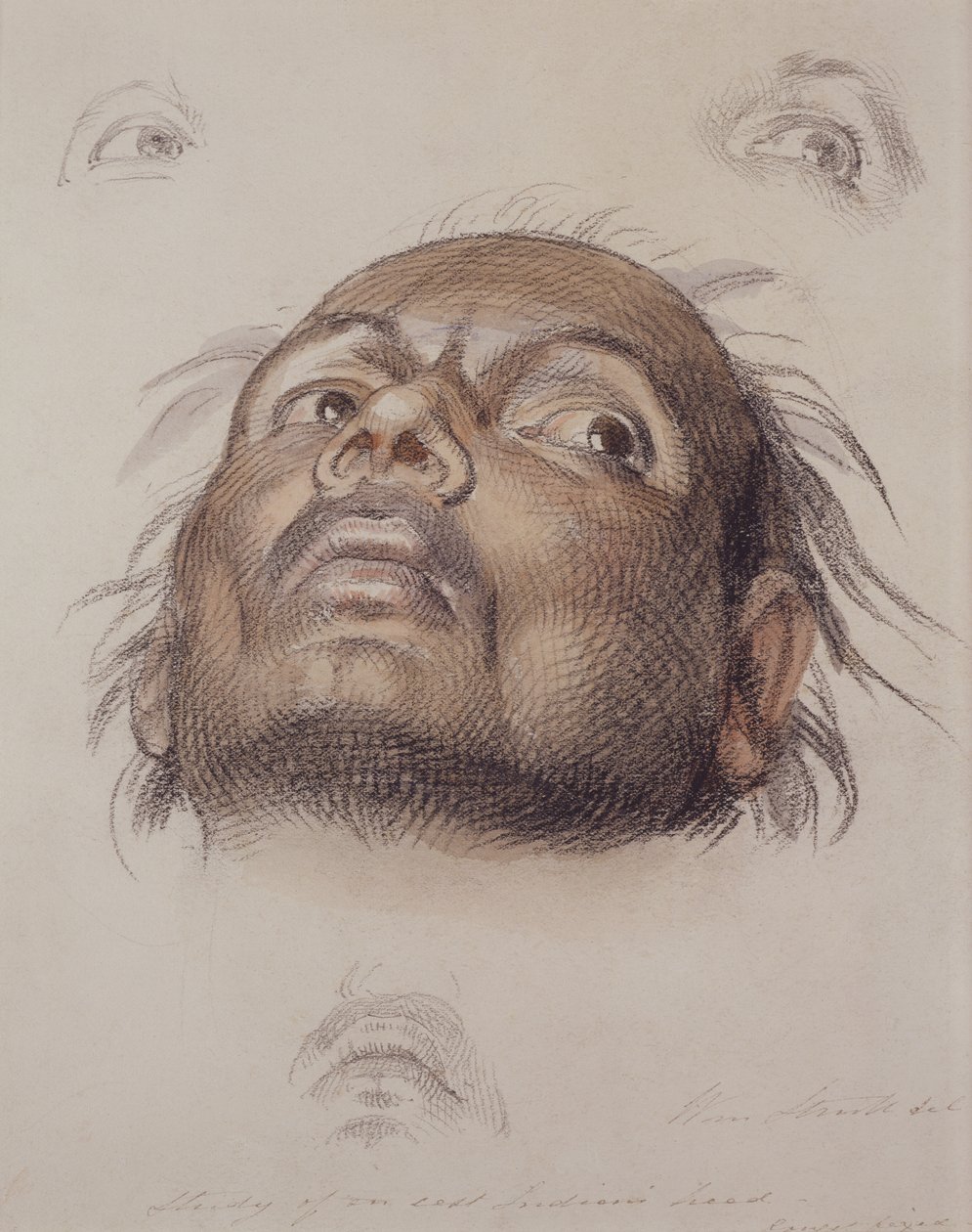 Tutkimus itä-intiaanien päästä, n. 1875 (kynä ja pesuaine paperille) tekijältä William Strutt