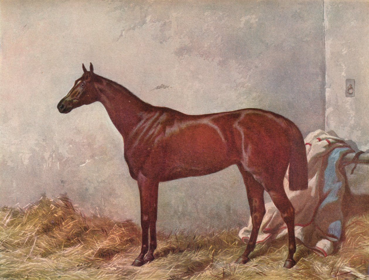 Erakko: Derby Stakes -voittaja Epsomissa, 1867, 1903 tekijältä William Summers