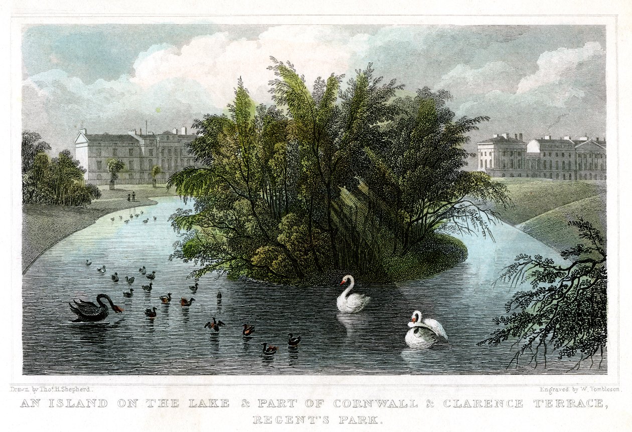 Saari järvellä ja osa Cornwall and Clarence Terracesia, Regents Park, Lontoo, 1828. tekijältä William Tombleson