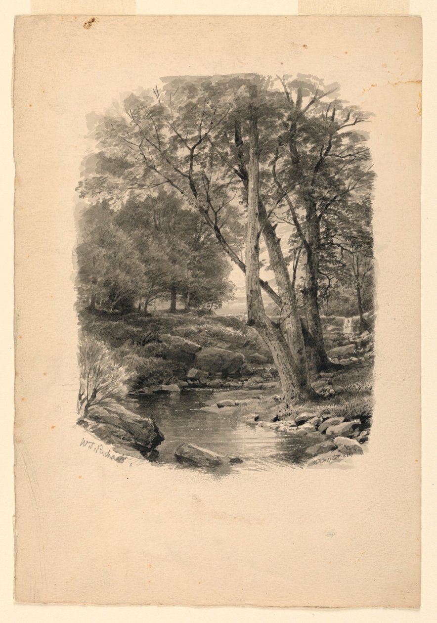 Piirros, Lammikko metsässä, 1874 tekijältä William Trost Richards