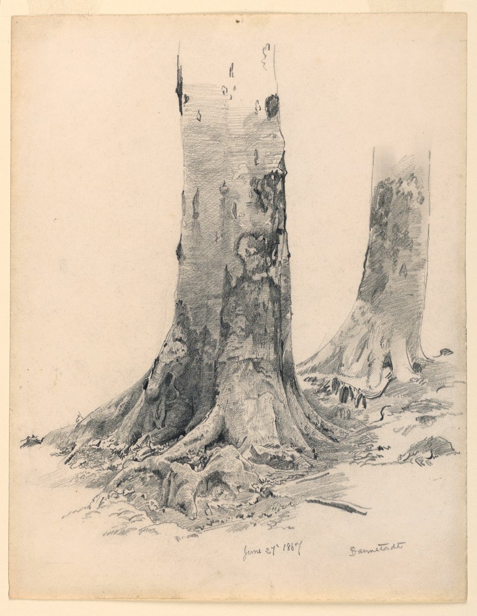 Piirros, puunrunkoja, Darmstadt, 27. kesäkuuta 1867. tekijältä William Trost Richards